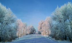 Featured image of post vue项目搭建