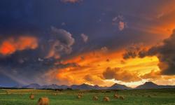 Featured image of post maven